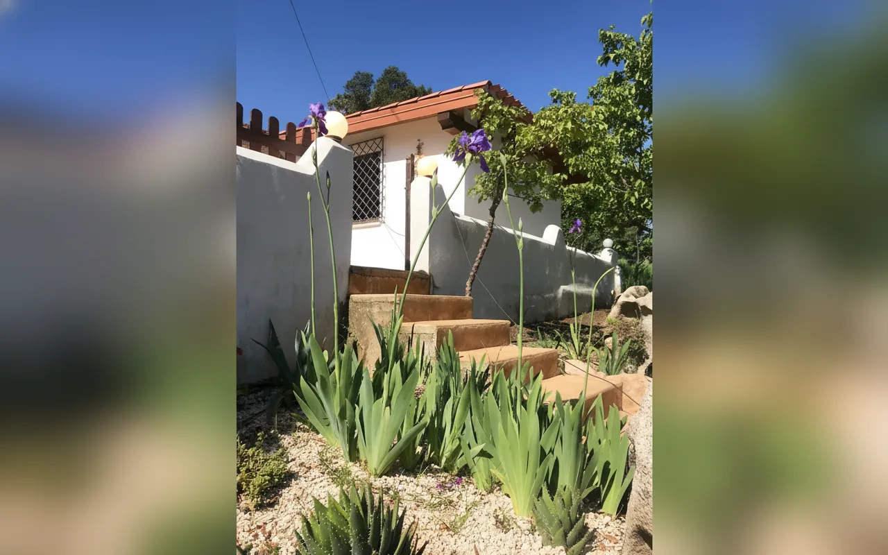 Esterni di Country House Musserrata, Oliena (Sardegna) (foto 44)