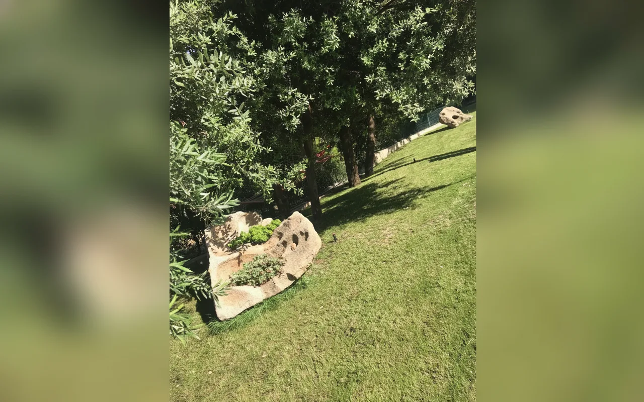Esterni di Country House Musserrata, Oliena (Sardegna) (foto 48)