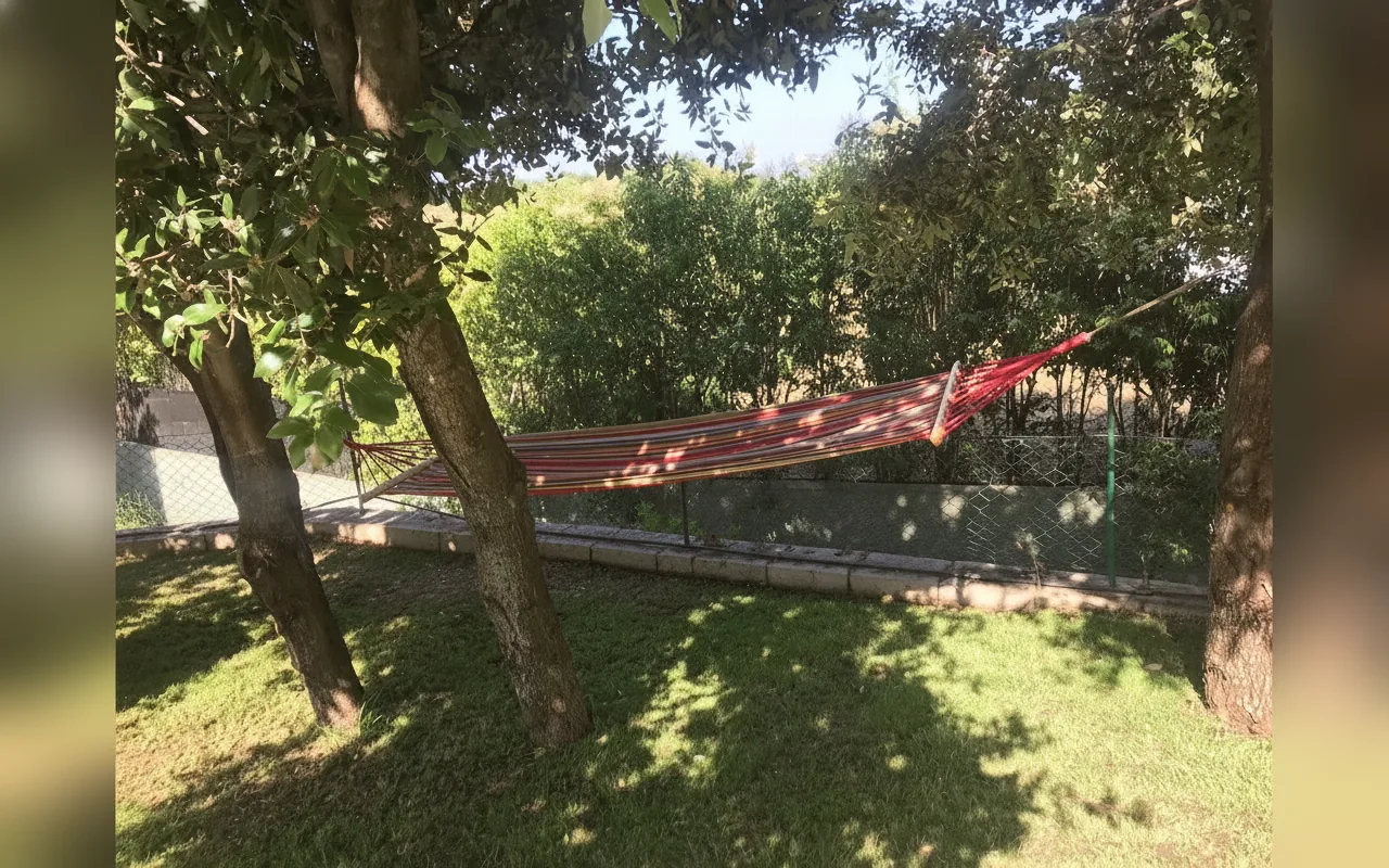 Esterni di Country House Musserrata, Oliena (Sardegna) (foto 50)